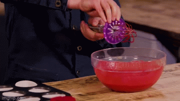 Whisk Wiper